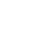 Data Audit