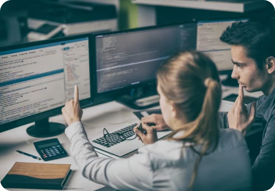 What is Web Development